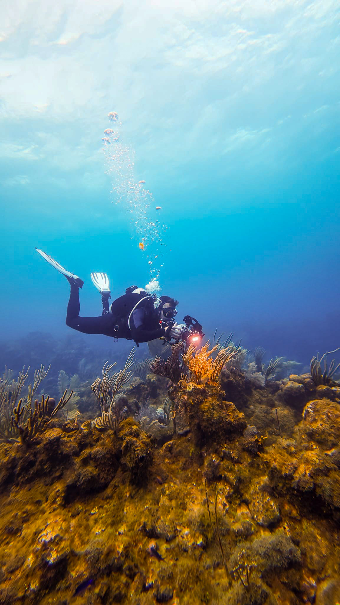 Samuel Bower photographing a Caribbean reef